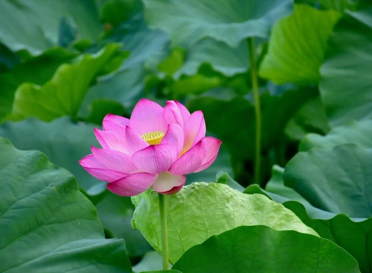 スクリーンショット 2024-07-27 212249.png